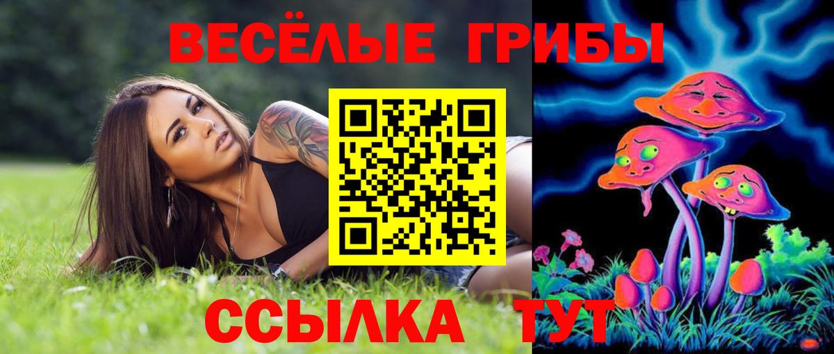Галлюциногенные грибы мухоморы Туапсе